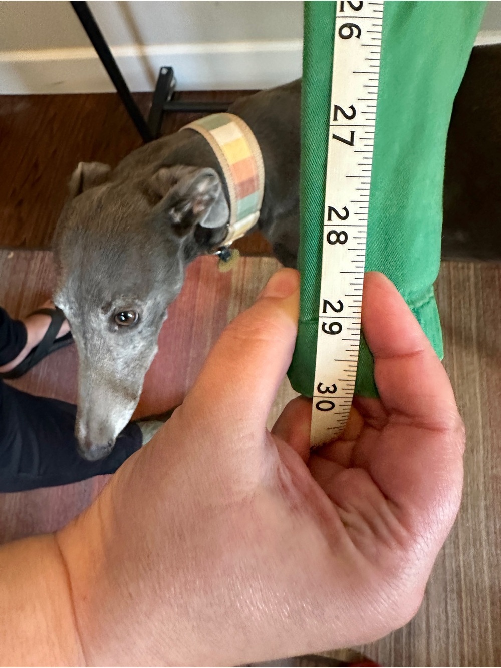 Broken-In Straight Green Khakis by GAP, 30" Inseam - Picture 4 of 4